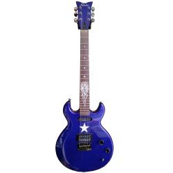 Schecter Trouble Vally